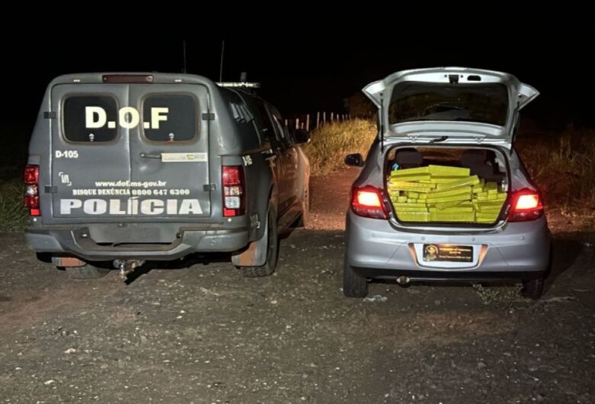 Carga de droga avaliada em mais de R$ 1 milhão é apreendida na MS-040