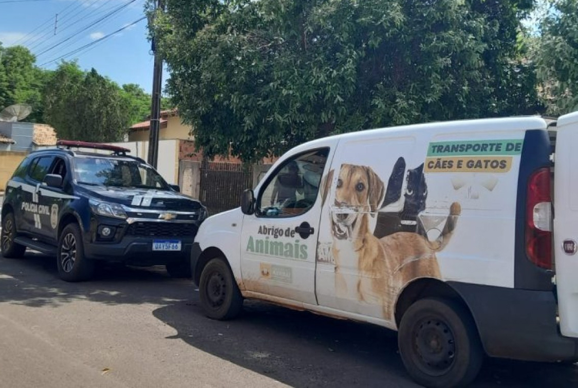 Vigilância em Saúde resgata animal de estimação após denúncia de maus-tratos